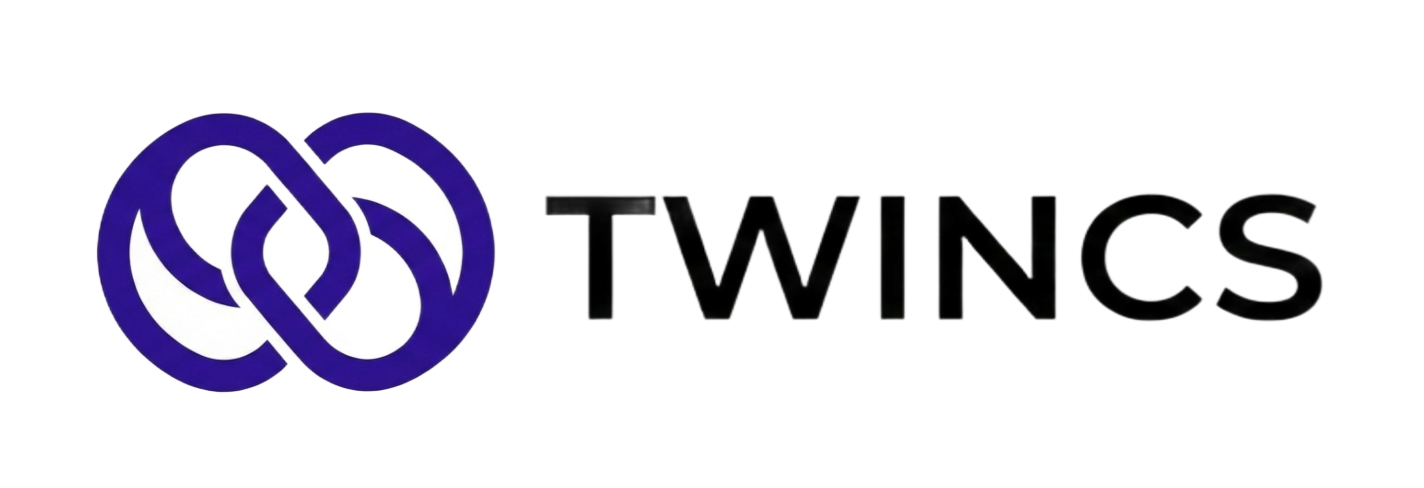 شعار شركة TWINCS للبرمجيات